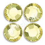 SIZE 34SS (7MM) JONQUIL