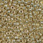 Metallic Silver, inside and out - 10/0 SIZE